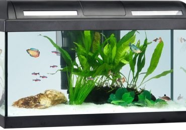 nice fish tank