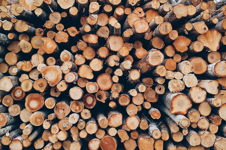 Dry wood