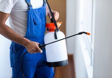 Purpose of pest control, Why is pest control necessary