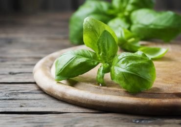 How to dry basil