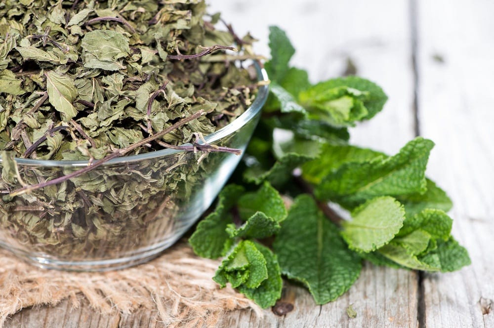 How to dry mint leaves for tea