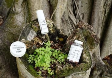 Which Form of CBD is Best For Me