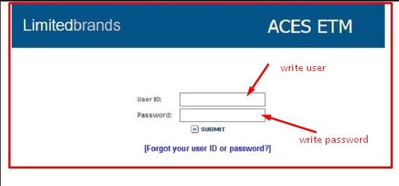Aces Etm Simple Guideline To Access ACES Limited Brands Trends Buzzer