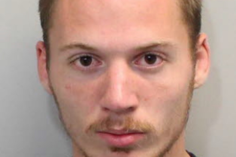 Tallahassee Man Arrested After Soliciting Sex With Dogs on Craigslist