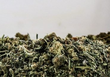 Advantages of CBD Flower Used Directly