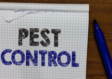 Pest Control Tips