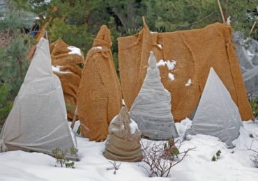 Important for a winter gardening