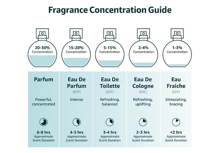 Dior Homme Parfum Concentration Guide