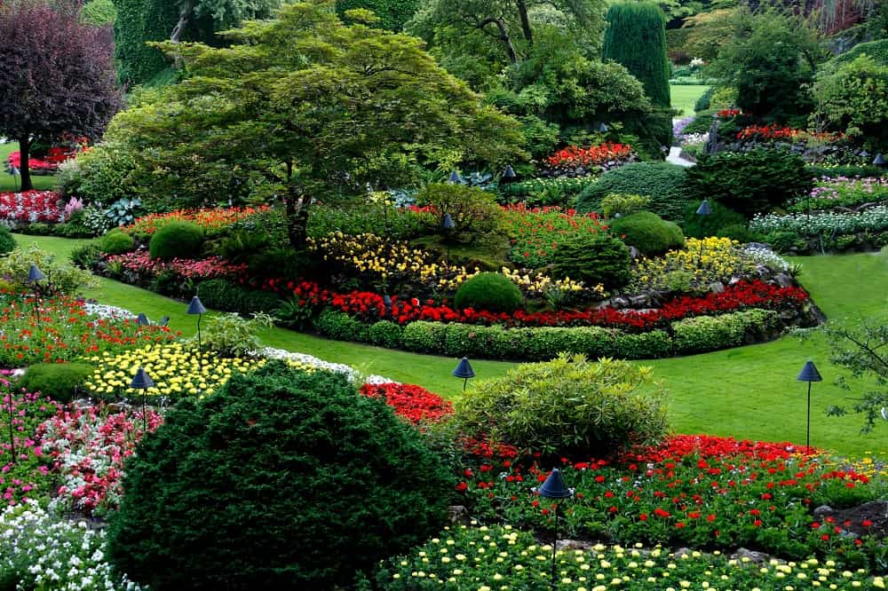 Reasons to Invest in Professional Landscaping Services