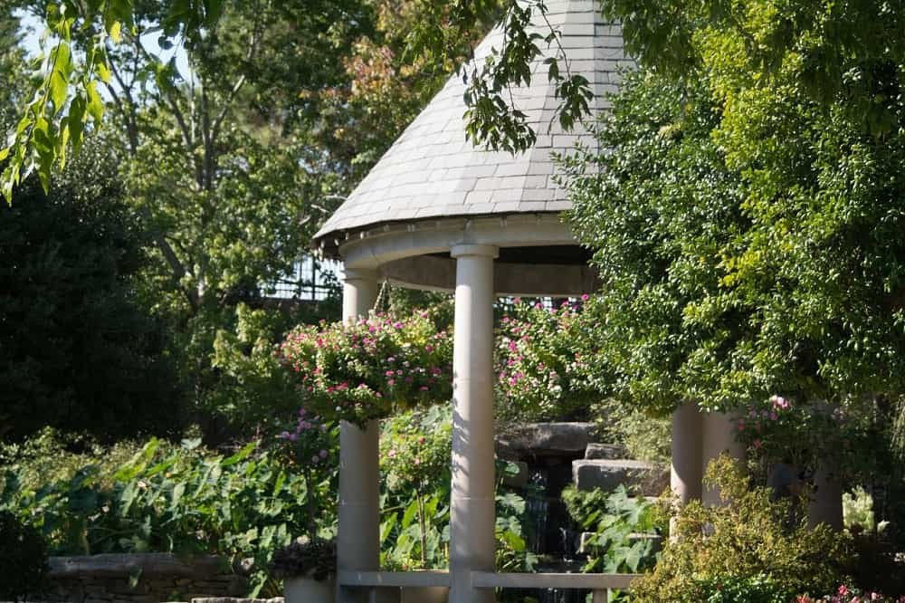 Why Invest in Professional Landscaping Services
