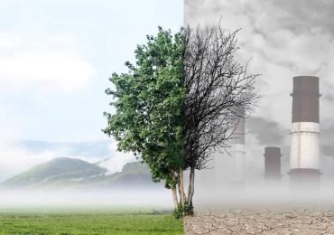 74% of the UK Want Stronger Pollution Rules
