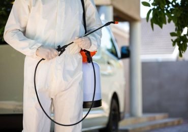 Why an Expert Pest Control Is Essential for Maintaining a Healthy Home
