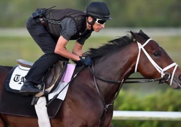 Interpreting Equibase Workouts