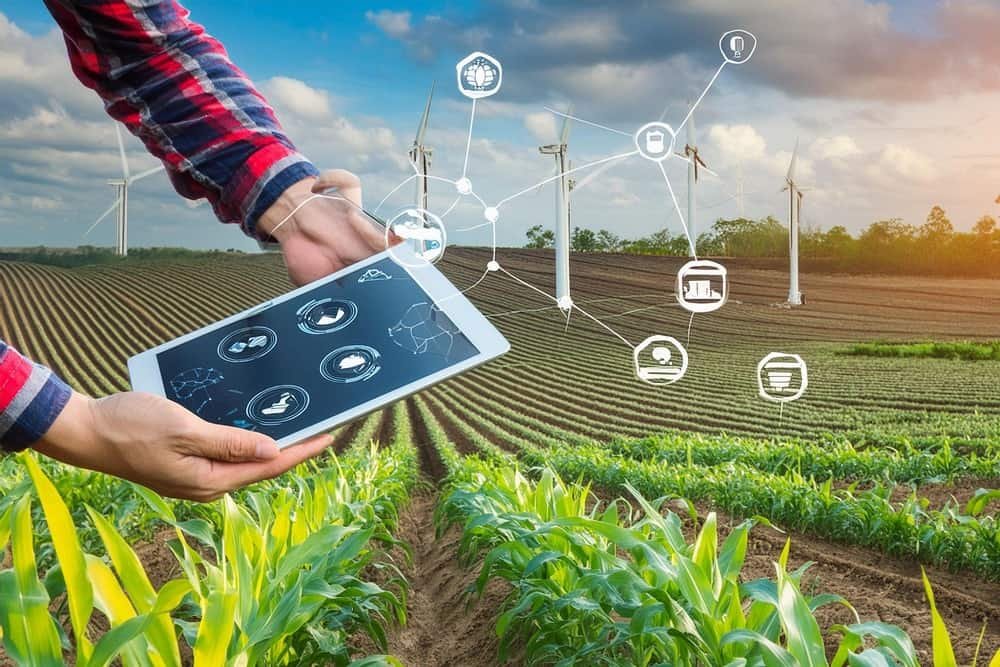 Efficient Irrigation Systems Impacts on Water Conservation