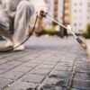 Discover Local Flea Control Services for Comprehensive Outdoor Pest Management