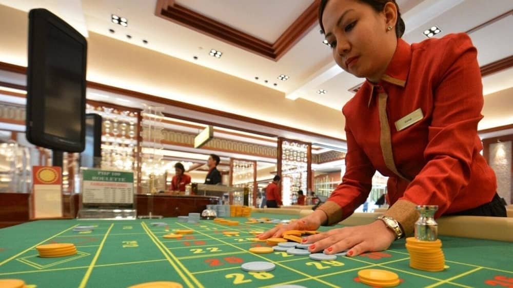 casino norge ribitup.com